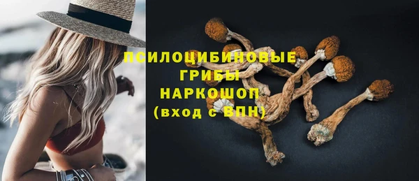 spice Балабаново