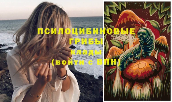 spice Балабаново