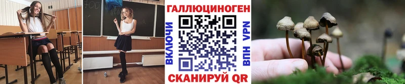 Галлюциногенные грибы мицелий  Снежногорск 